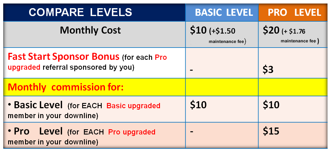 Basic level. Уровень Basic. Тариф Pro. Level перевод. Basic Level categories